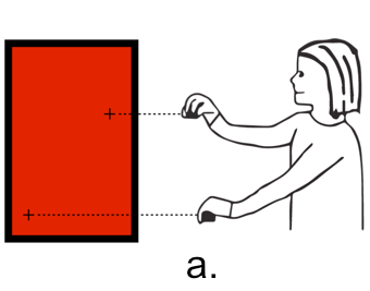 Image for Figure 1a
