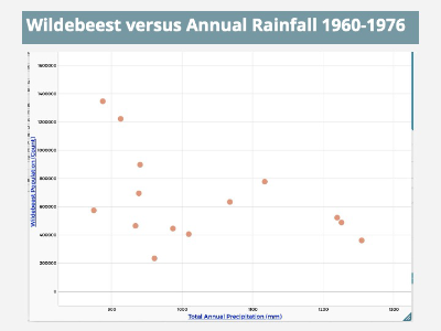 Scatterplot showing weak negative correlation between rainfall and wildebeest population.